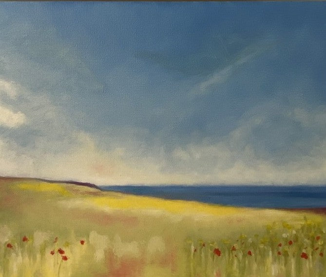 Poppies Above Abereiddy