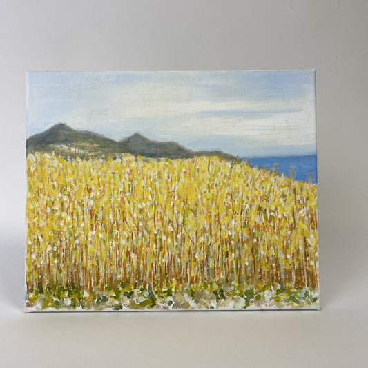 Wheat Fields on Cliff Top